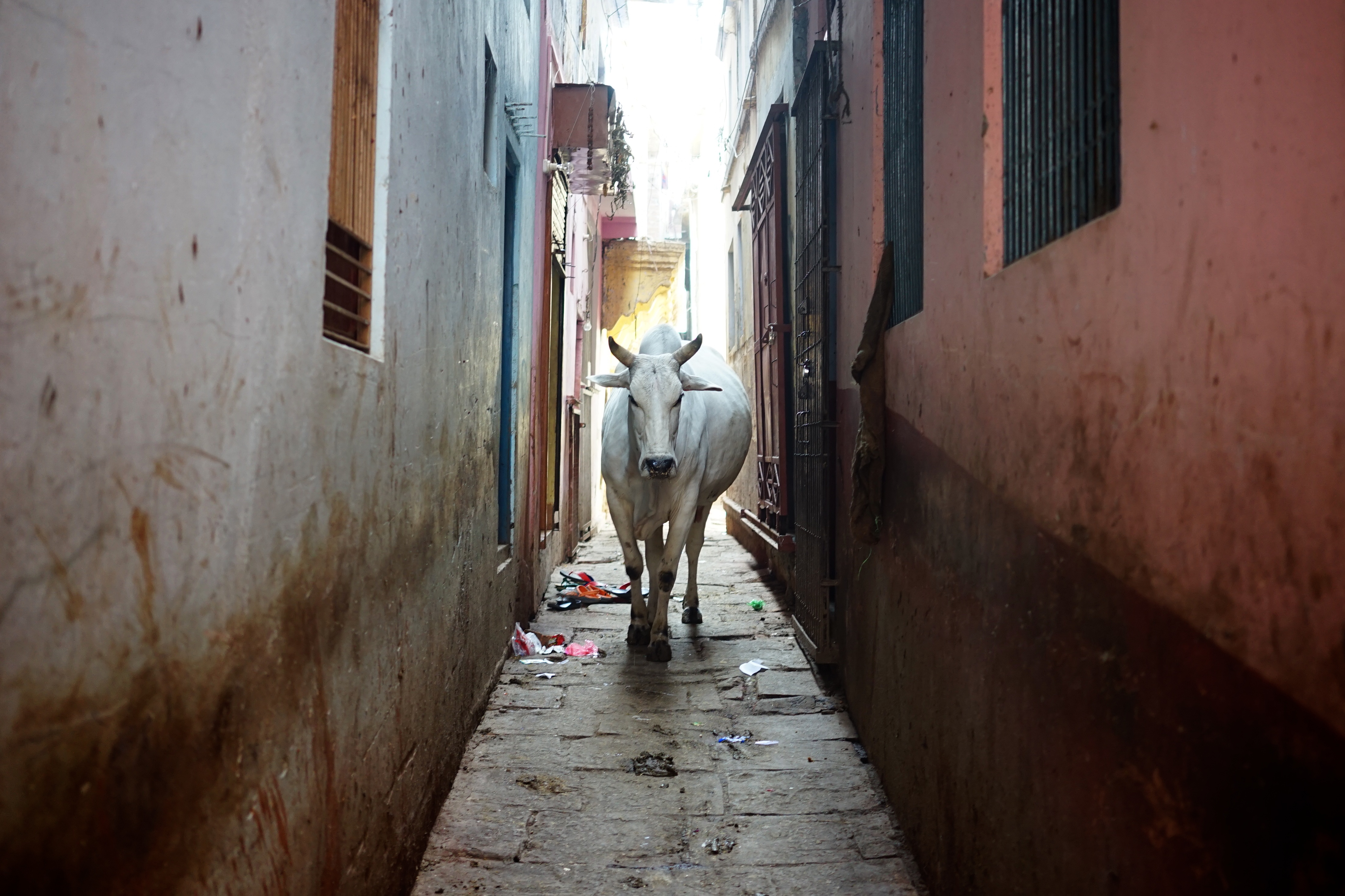 Kachori Gali & Old City Heritage Walk – Varanasi